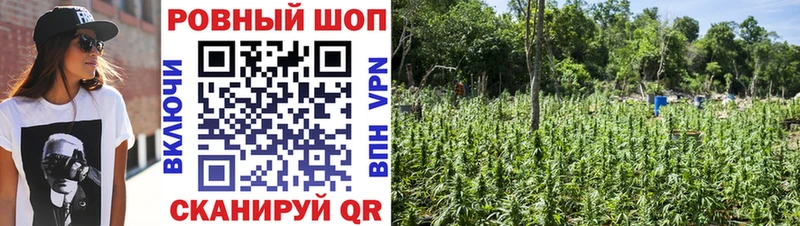 Наркотические вещества Минеральные Воды Кокаин  Меф  АМФ  Конопля 