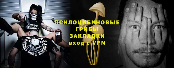 винт Богданович