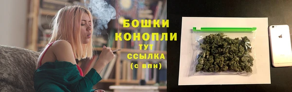 винт Богданович