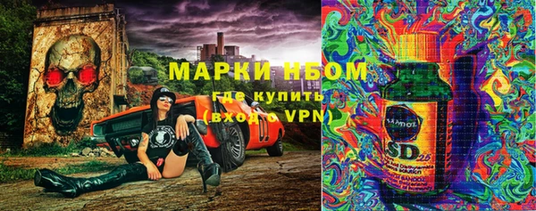 МДПВ Богородск