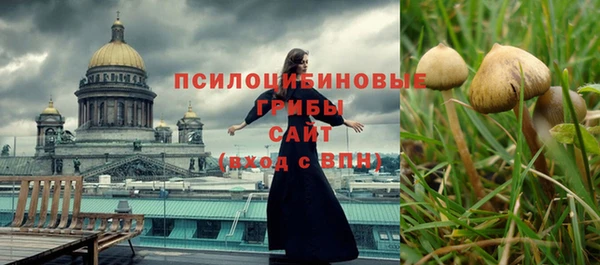 МДПВ Богородск