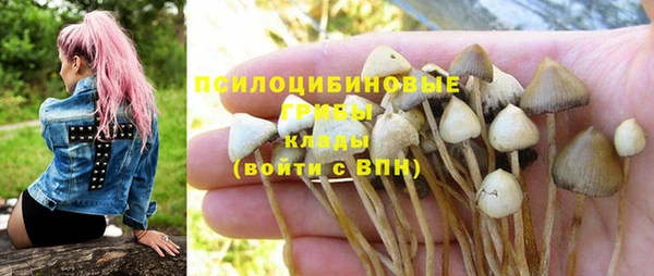 прущий лед Богородицк