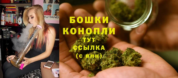прущий лед Богородицк