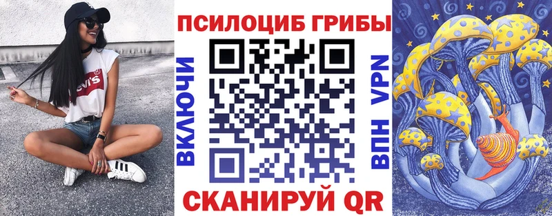Псилоцибиновые грибы мухоморы  наркошоп  ОМГ ОМГ ССЫЛКА  Минеральные Воды 
